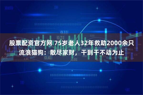 股票配资官方网 75岁老人32年救助2000余只流浪猫狗：散尽家财，干到干不动为止